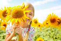 Kind auf Sonnenblumenfeld